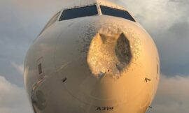 WHAT HAPPENS IF AN AIRPLANE COLLIDES WITH A BIRD IN FLIGHT?