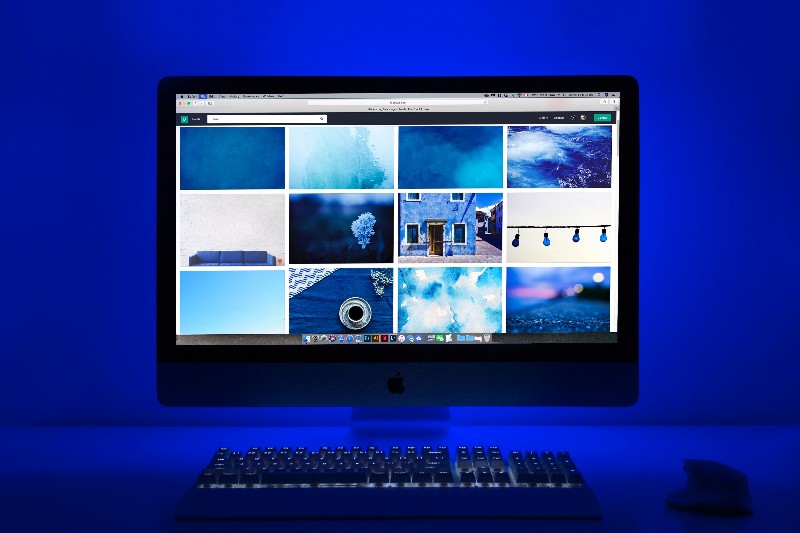 Apple alternative search engine