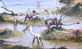 Pterosaurs: how evolution took clumsy and ineffective flyers and turned them into near-perfect aeronautical machines