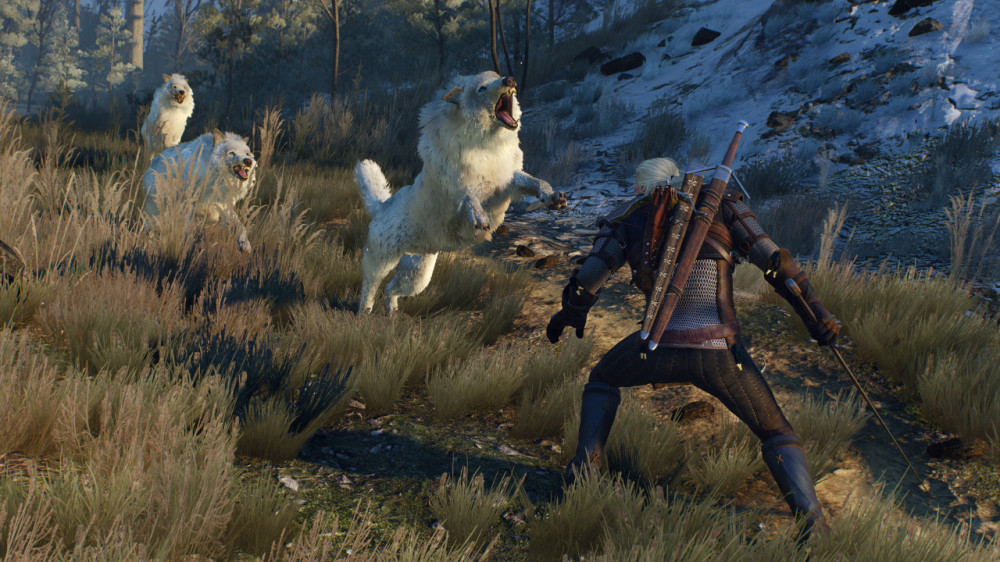 Top video games: The Witcher 3: Wild Hunt
