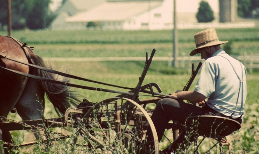 Amish Technology: What it’s like to be the world’s slowest late adopter