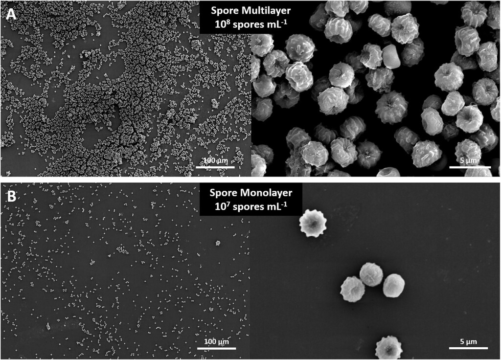 NASA spores