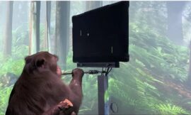 Elon Musk shows Neuralink mind control in video of monkey playing Pong