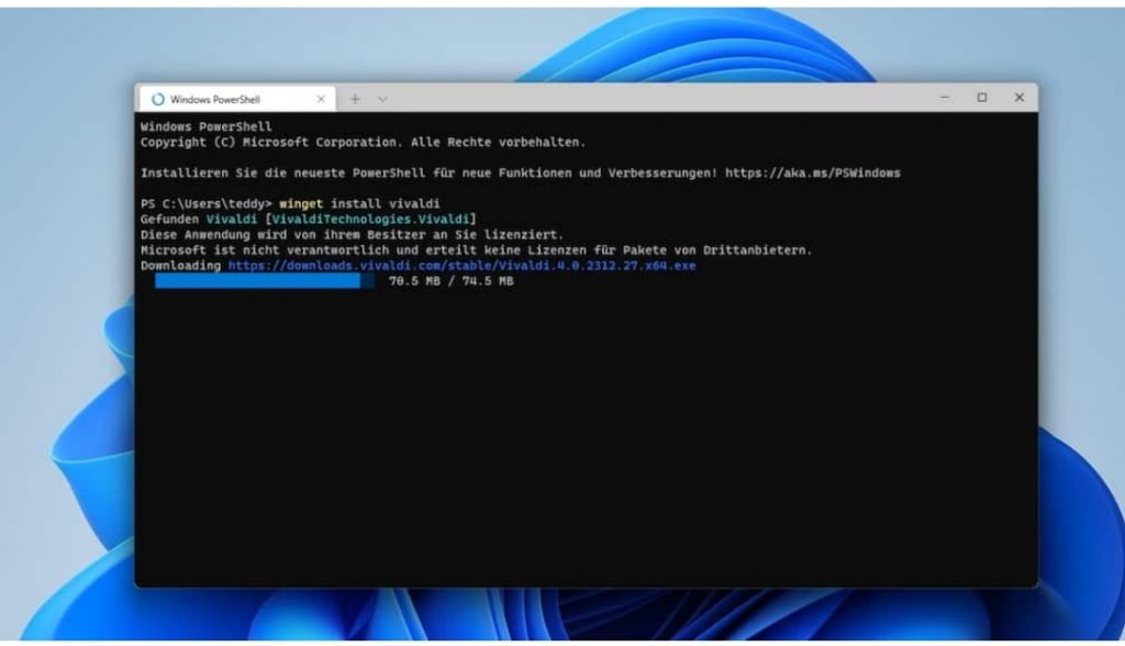 Winget install program