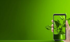 How do plant identification apps work?