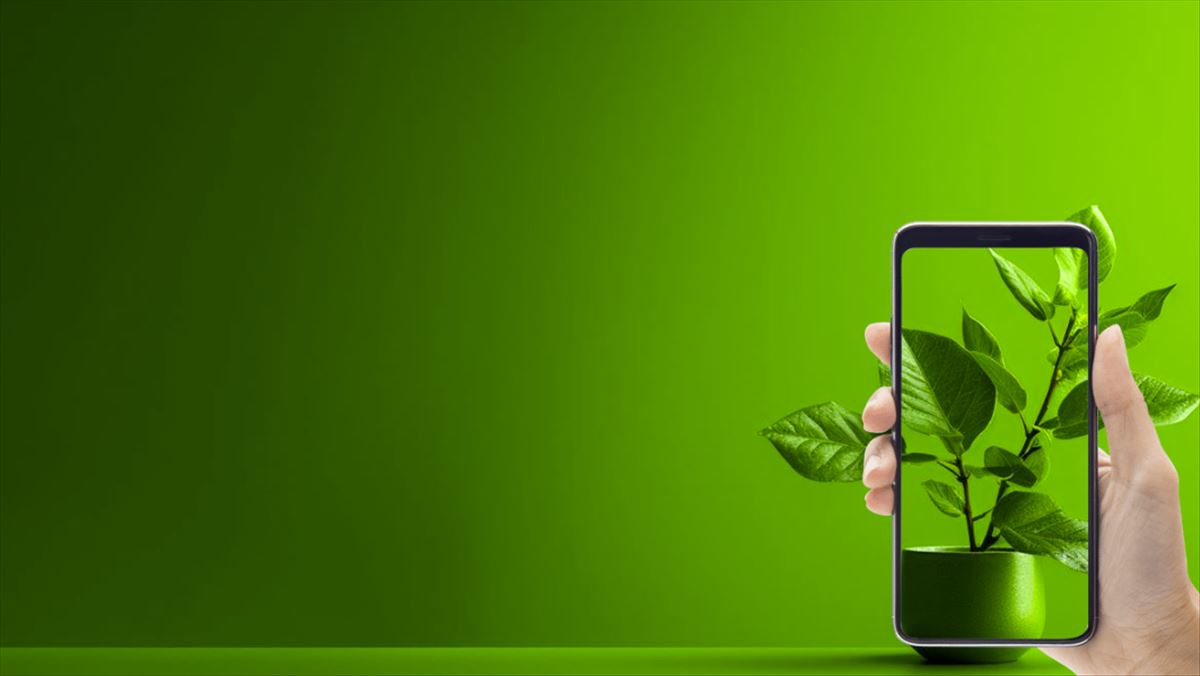 plant identification apps