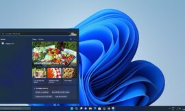 How to deactivate search highlights on Windows 10 and 11