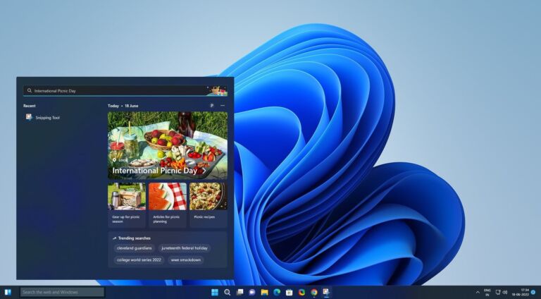 Read more about the article How to deactivate search highlights on Windows 10 and 11